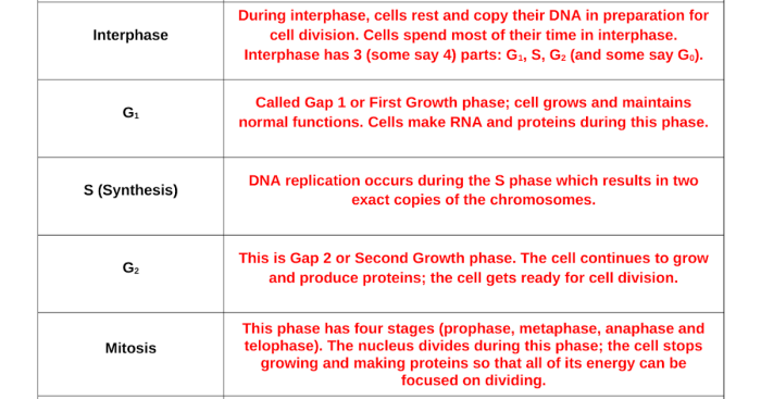 Meiosis gizmo answer key pdf