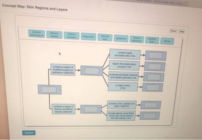 Concept map skin regions and layers