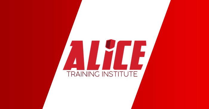 What is vci in alice training