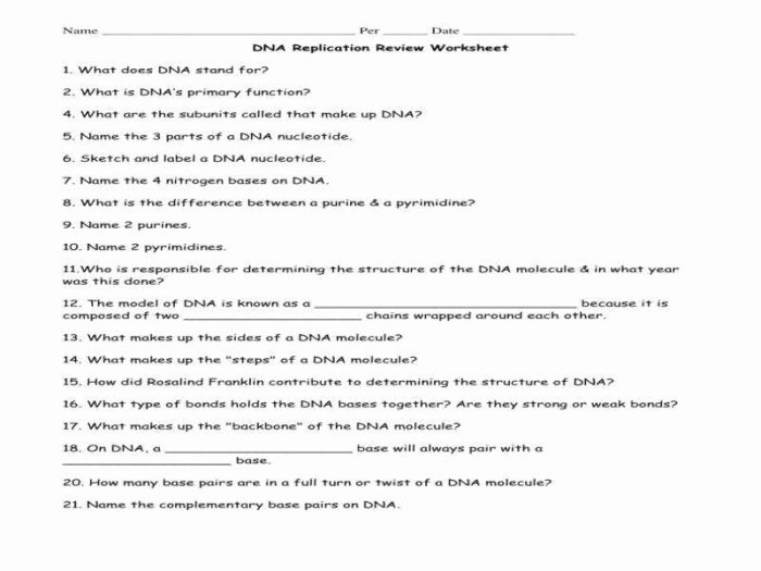 Dna and replication worksheet answer key