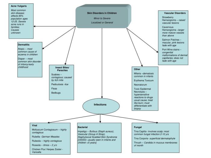 Concept map skin regions and layers