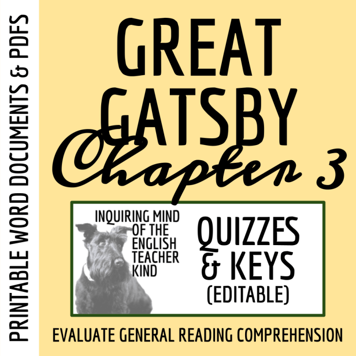 Quiz on chapter 1 of the great gatsby